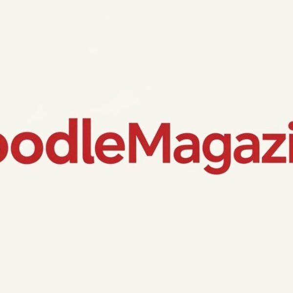Key Functionalities of NoodleMagazine: A Technical Insight